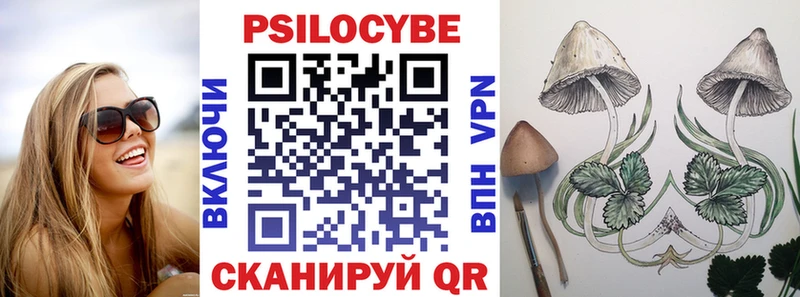 даркнет состав Сосновка Псилоцибиновые грибы Psilocybine cubensis